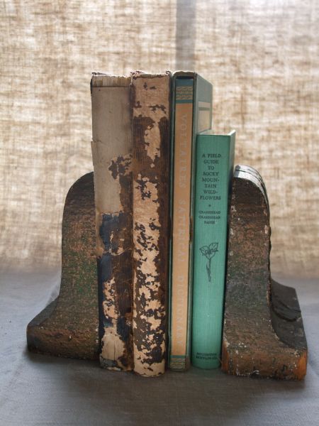 Beautifully weathered old books.